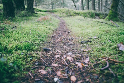 path maturity blogging