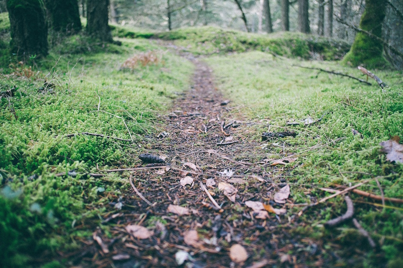path maturity blogging