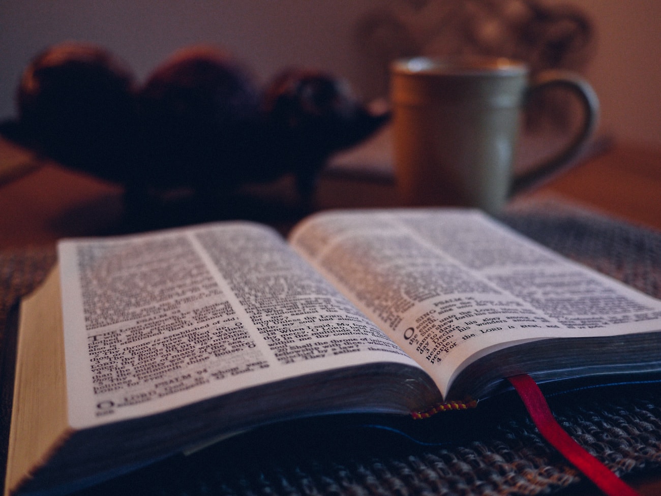 where to start bible reading image